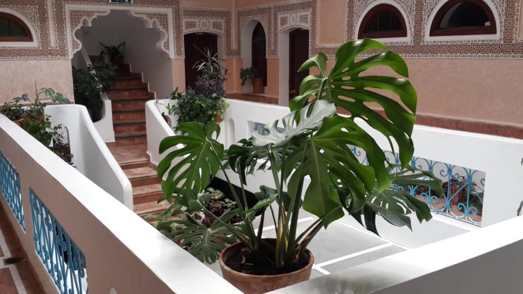 Riad Salt River Martil Exterior photo